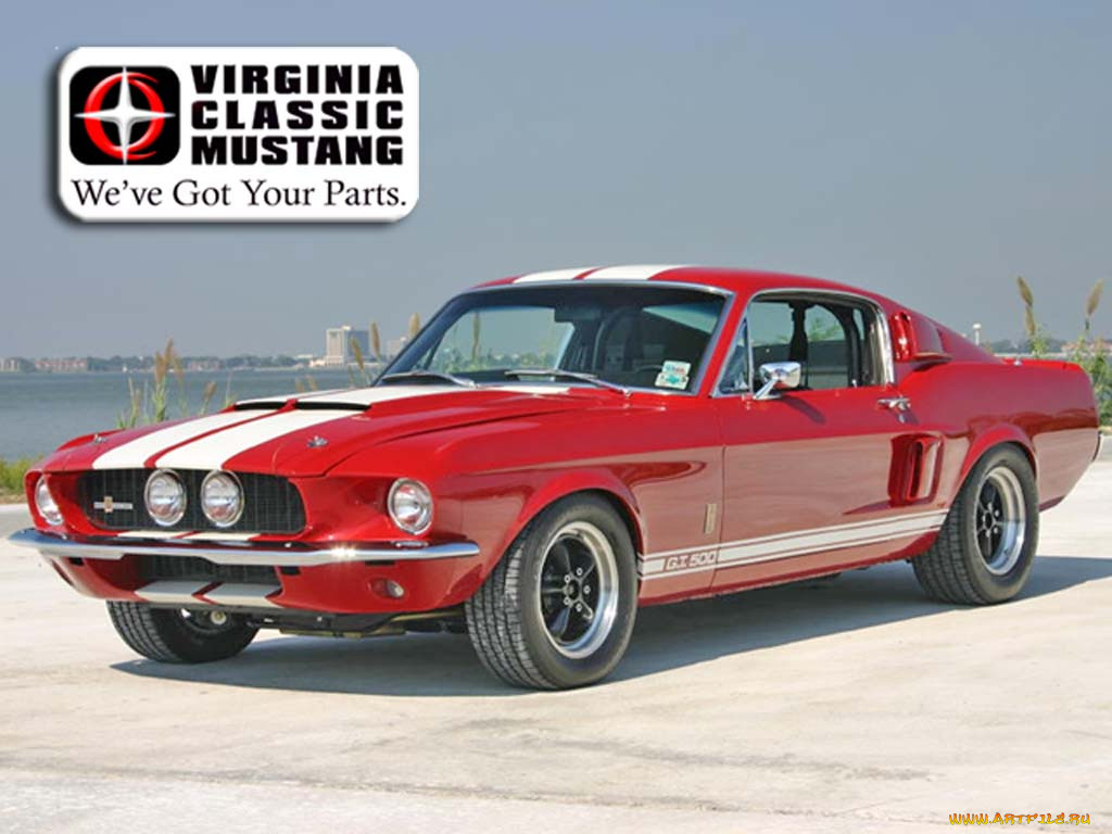mustang, gt500, 1967, , ford
